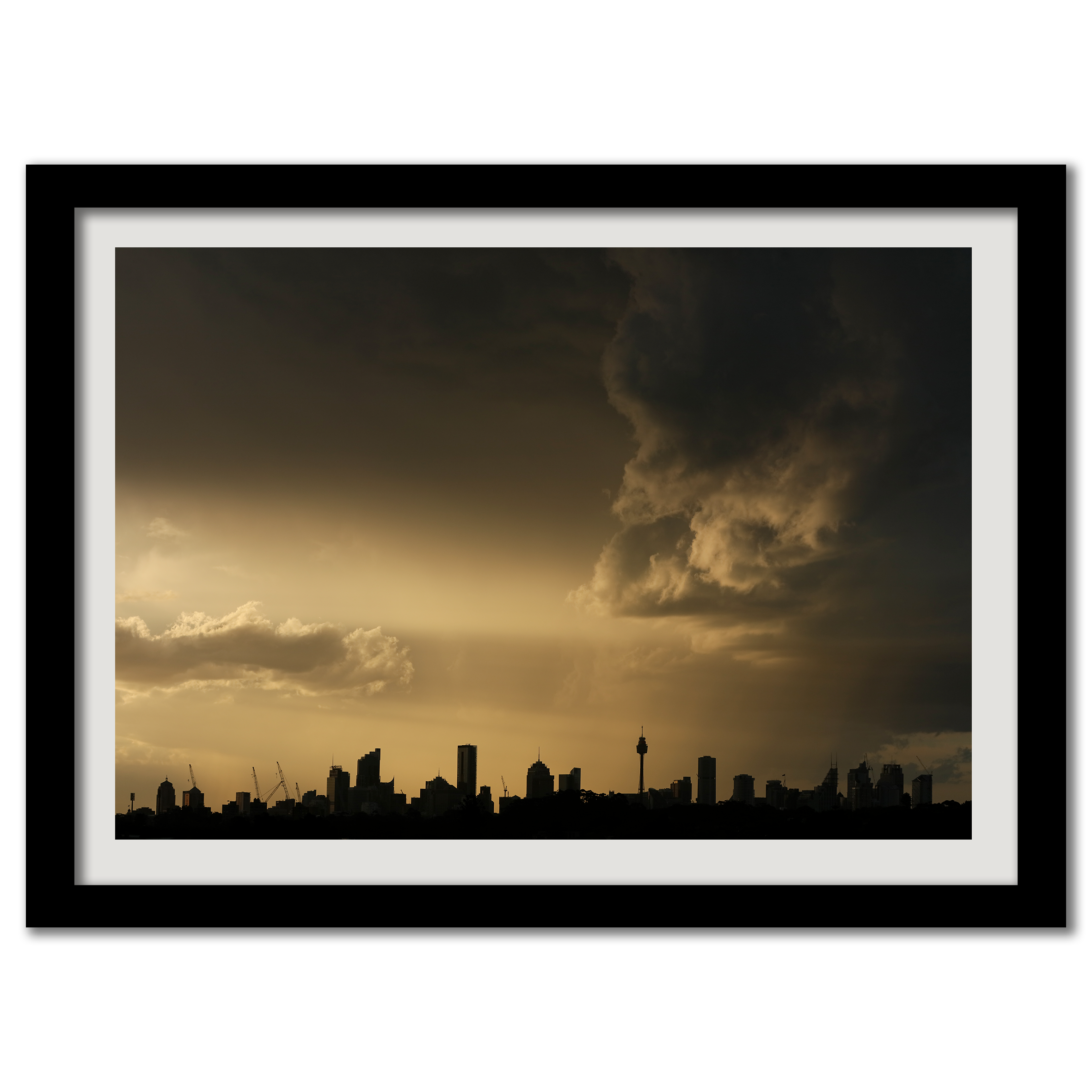 Sydney in Silhouette