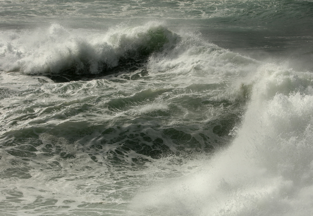 Raw Power