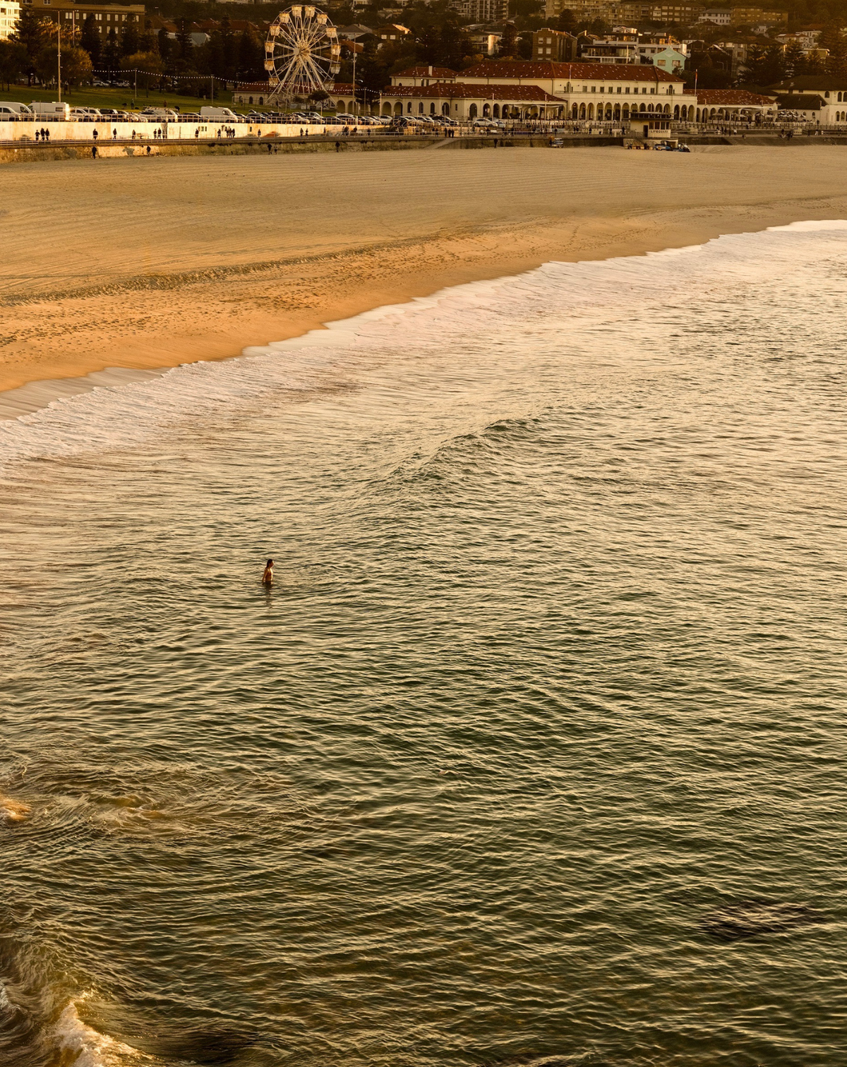 Morning Swim