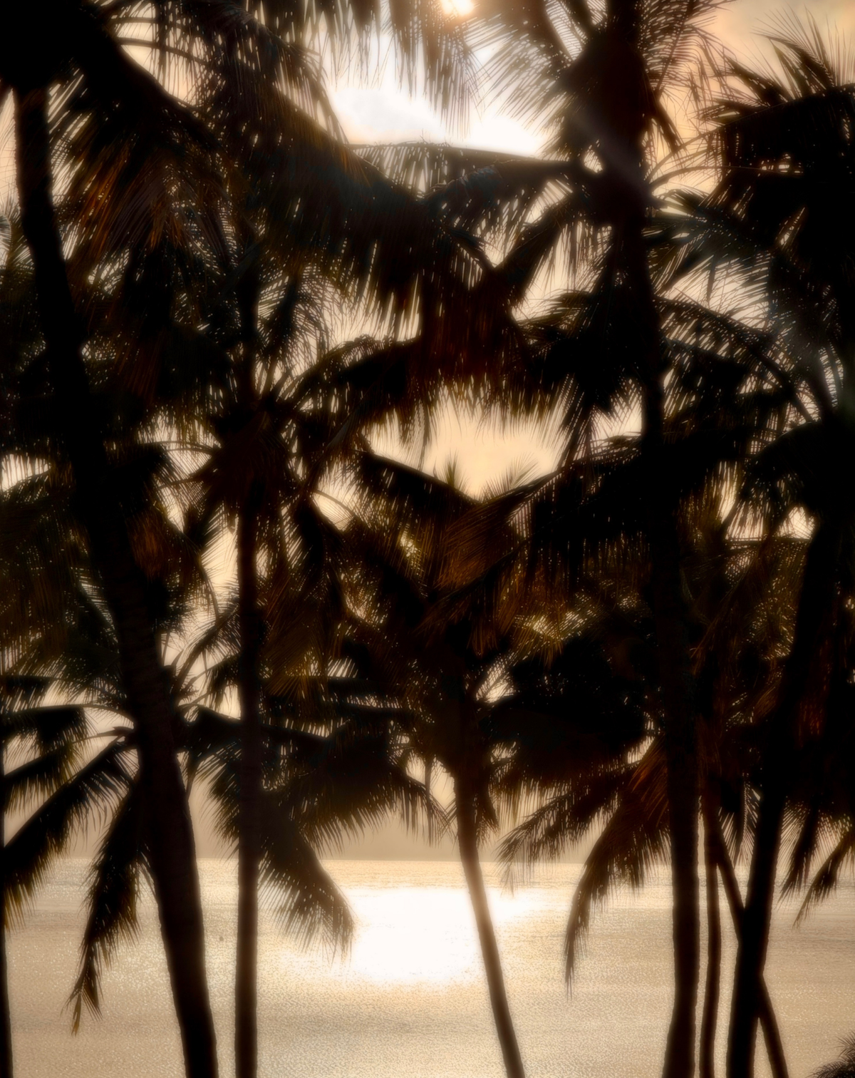 Island Sunrise