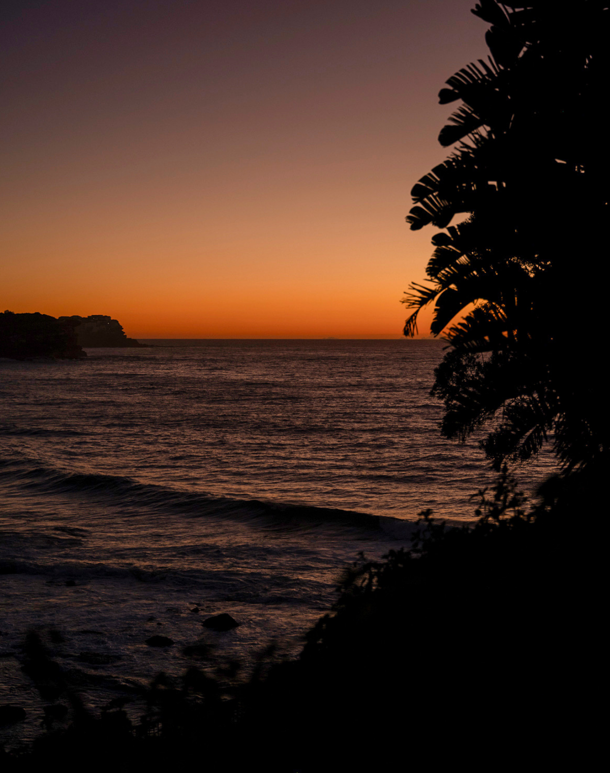 Bronte Dawn