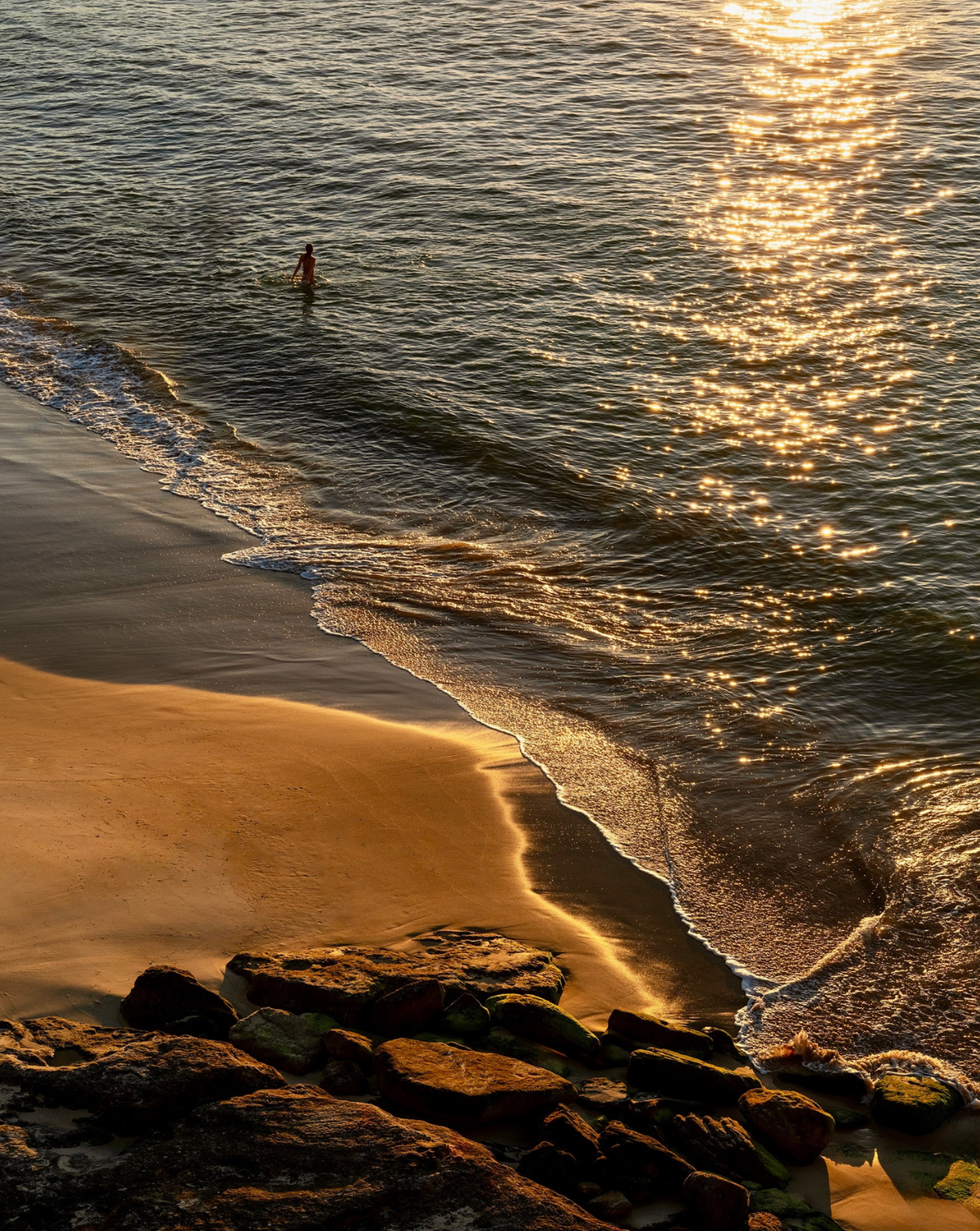 Lone Bondi