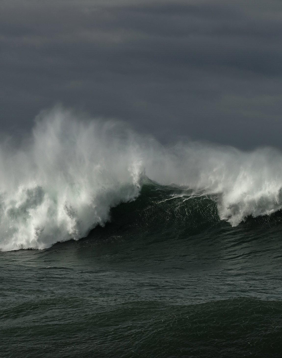 Bronte Swell Surge