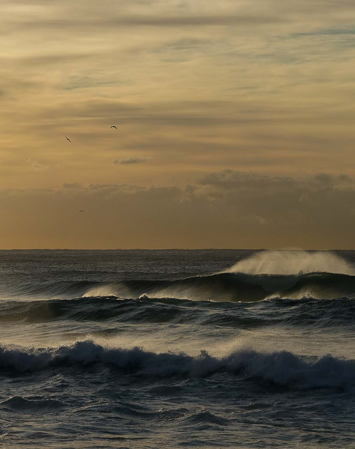 Sunset Swell